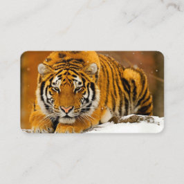 Tarjeta De Visita Modern Animal Art Card Set – Tiger & Fantasy Bird