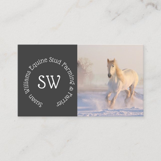 Tarjeta De Visita Moderno equino profesional DIY caballo blanco (Anverso)