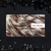Moderno Mascota Sitter Dog Walker Grooming Veterin