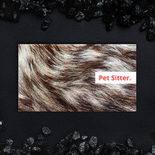 Tarjeta De Visita Moderno Mascota Sitter Dog Walker Grooming Veterin