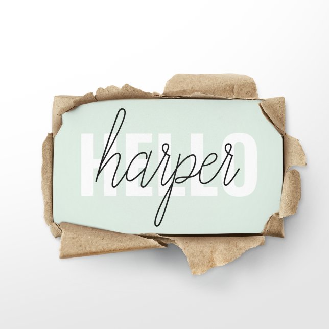 Tarjeta De Visita Moderno Pastel Mint Hello Y You Name (Subido por el creador)