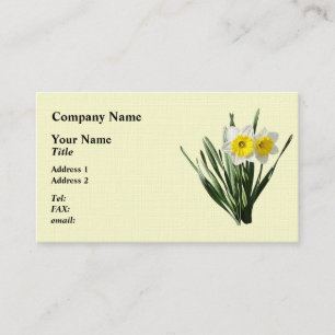 Tarjeta De Visita Modesto Narciso Pequeño