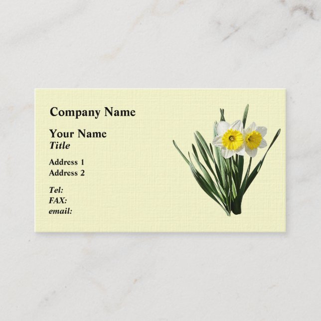 Tarjeta De Visita Modesto Narciso Pequeño (Anverso)