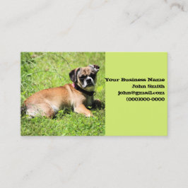 Tarjeta De Visita Molly