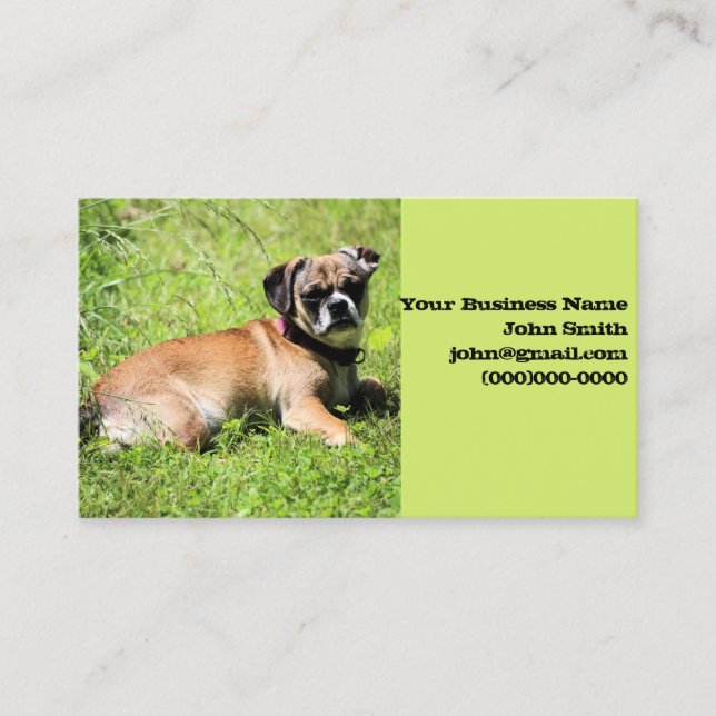 Tarjeta De Visita Molly (Anverso)