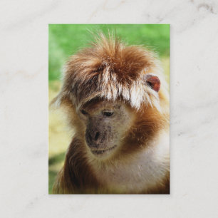 TARJETA DE VISITA MONKEY