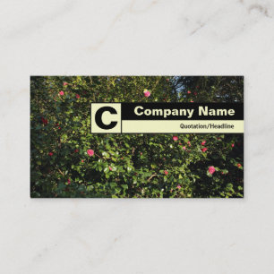 Tarjeta De Visita Monograma marcado con bordes - Camellia Bush