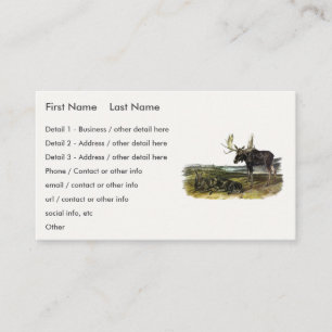 Tarjeta De Visita Moose Deer (Moose - Alces alces) de Audubon