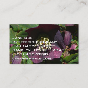 Tarjeta De Visita Morado Rosa de Cuaresma, flor de Pascua