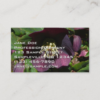 Tarjeta De Visita Morado Rosa de Cuaresma, flor de Pascua