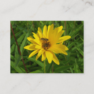 Tarjeta De Visita Mosca de los Hover en un crisantemo amarillo