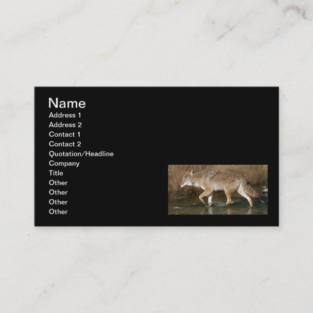 Tarjeta De Visita Movimiento flúido (Anverso)