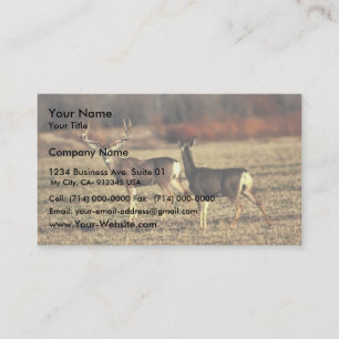 Tarjeta De Visita Mule Deer
