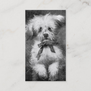 Tarjeta de visita mullida del perro