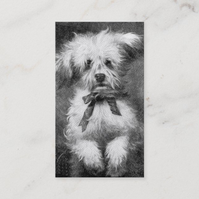 Tarjeta de visita mullida del perro (Anverso)