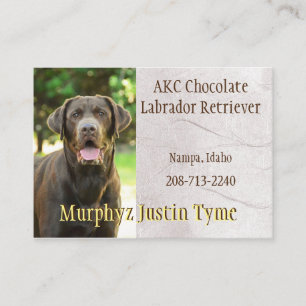Tarjeta De Visita Murphys Business Card