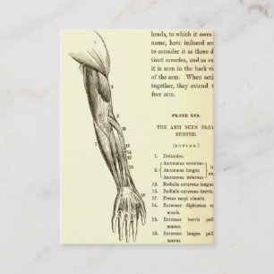 Tarjeta De Visita Músculos de la anatomía el   del vintage del bra