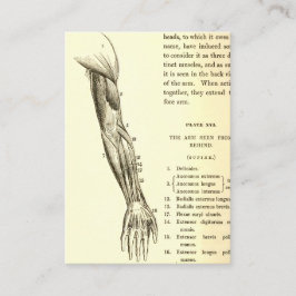 Tarjeta De Visita Músculos de la anatomía el | del vintage del brazo