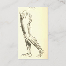 Tarjeta De Visita Músculos de la pierna de la anatomía el | del