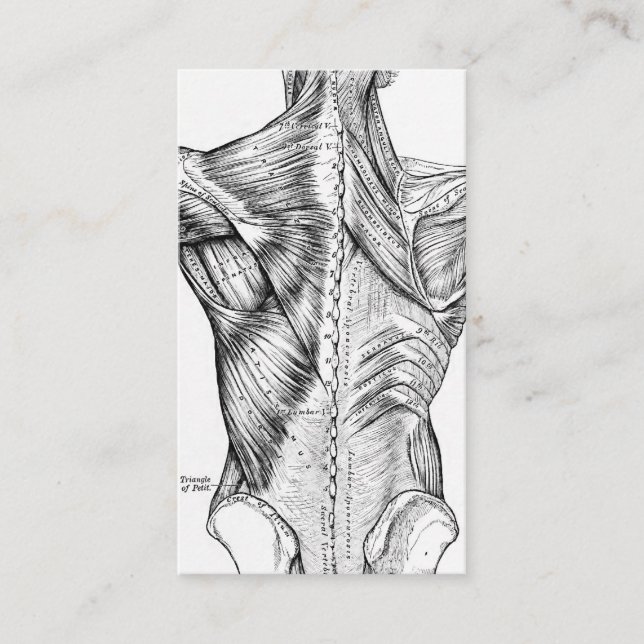 Tarjeta De Visita Músculos traseros del arte blanco y negro de la (Anverso)