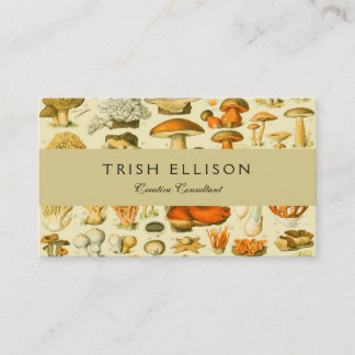 Tarjeta De Visita Mushroom Vintage Toadstool Ilustracion antiguo