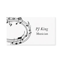 Músico profesional