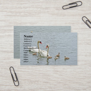 Tarjeta De Visita Mute Swan Famly