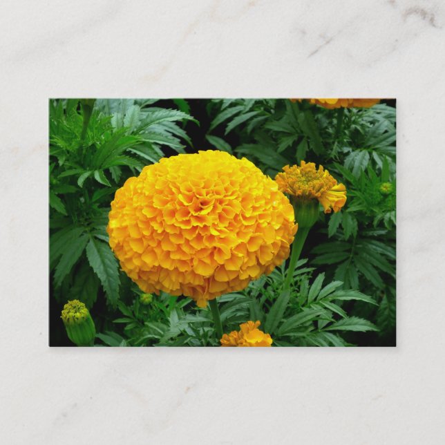 Tarjeta De Visita Naranja Chrysanthemum (Anverso)