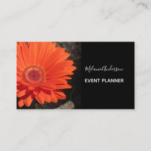 Tarjeta De Visita Naranja Daisy Flower Photo
