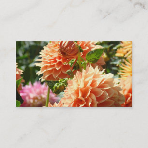 Tarjeta De Visita Naranja de flores Dahlia Flowers