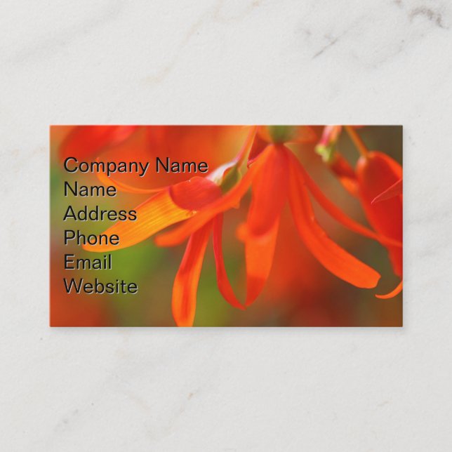 Tarjeta De Visita Naranja de rastreo Begonia (Anverso)