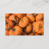 Naranja del parche de calabaza Harvest Garden Gour