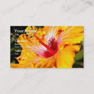 Tarjeta De Visita Naranja Hibiscus Flower Side View