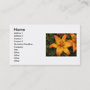 Tarjeta de visita naranja Lily