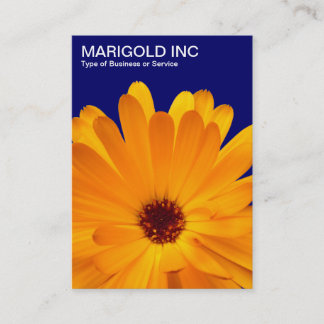 Tarjeta De Visita Naranja Marigold - Azul de la Marina Profunda