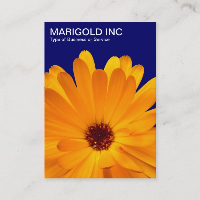 Tarjeta De Visita Naranja Marigold - Azul de la Marina Profunda (Anverso)