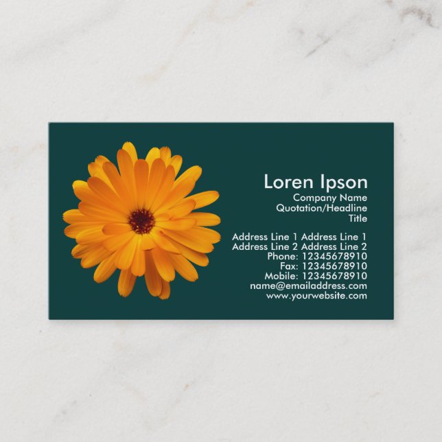 Tarjeta De Visita Naranja Marigold - Dark Green (003333) (Anverso)