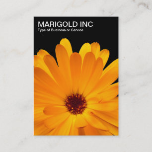 Tarjeta De Visita Naranja Marigold - Negro
