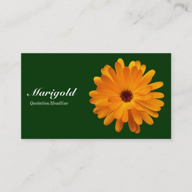 Tarjeta De Visita Naranja Marigold - Verde oscuro 003300 (Anverso)