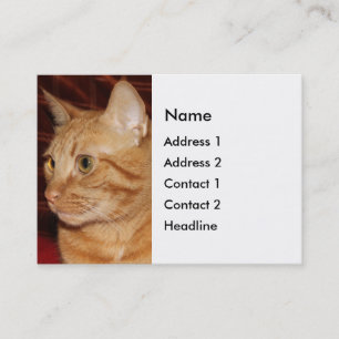 Tarjeta De Visita Naranja Tabby Cat Face Profile
