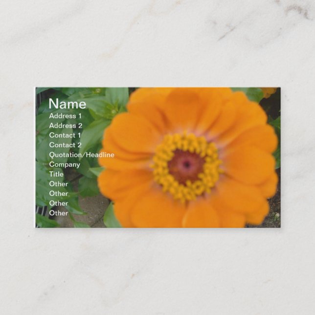 Tarjeta De Visita Naranja Zinnia (Anverso)