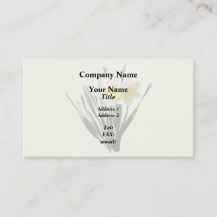 Tarjeta De Visita Narciso tímido