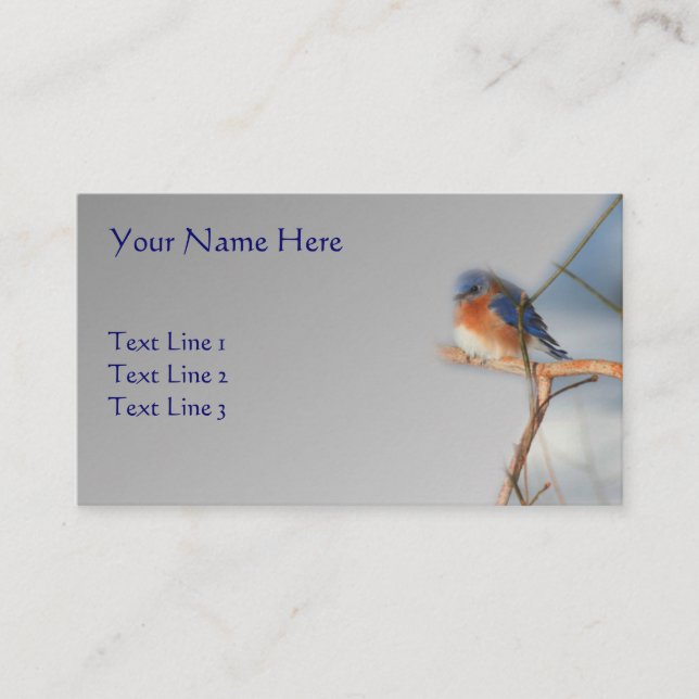 Tarjeta De Visita Naturaleza silvestre de Bluebird (Anverso)
