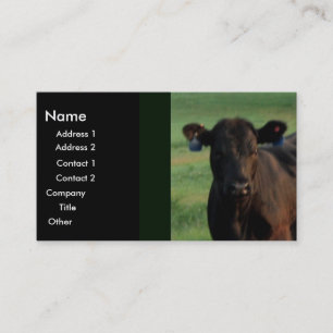 Tarjeta De Visita Negocio serio