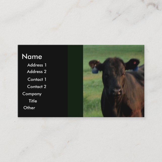 Tarjeta De Visita Negocio serio (Anverso)