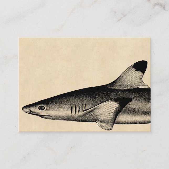 Tarjeta De Visita Negro del ilustracion del tiburón del filón del (Anverso)