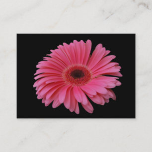 Tarjeta De Visita Negro rosado ACEO del Gerbera