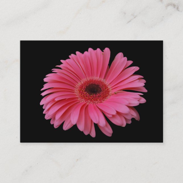 Tarjeta De Visita Negro rosado ACEO del Gerbera (Anverso)