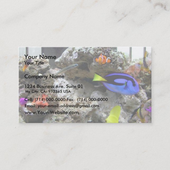 Tarjeta De Visita Nemo con su banda (Anverso)