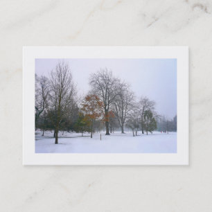 Tarjeta De Visita Nieve en el parque, mini foto